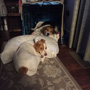 Meet your Posher, Joan